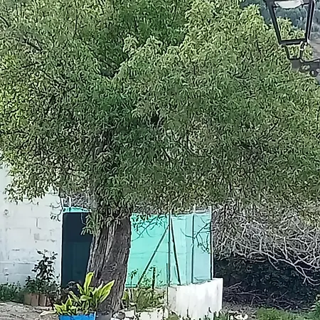 El Almendro De La Tia Teresa Holiday home Prados de Armijo